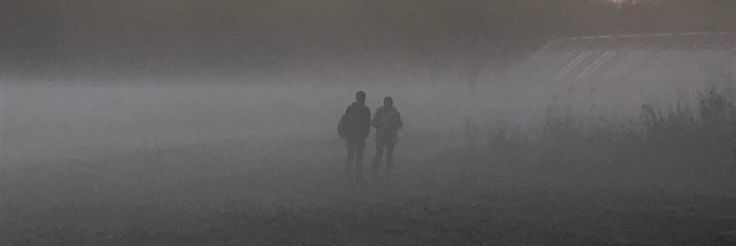 Päevakovër 𐂂 | онасемноген абепарвовек banner
