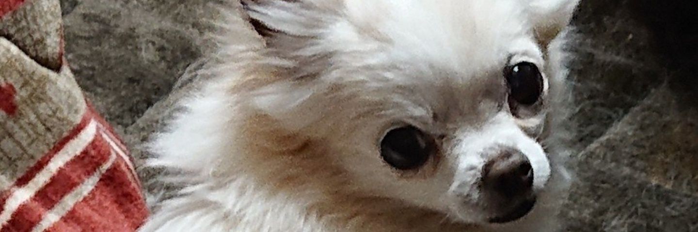 eri_0429's profile banner image