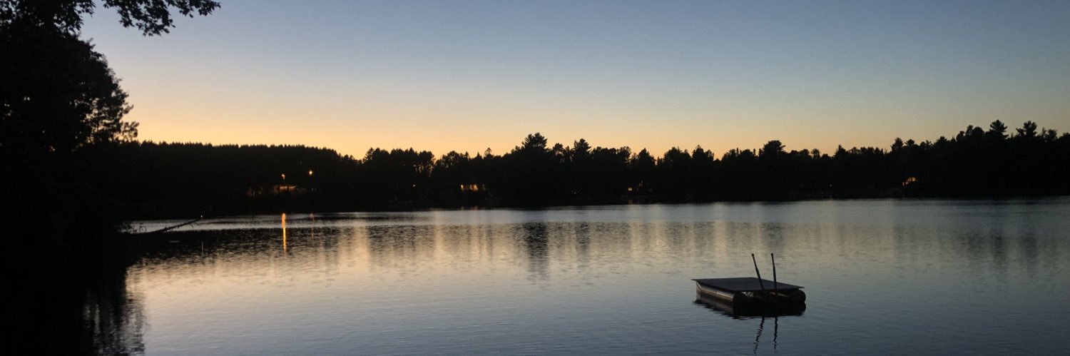 steezian's profile banner image