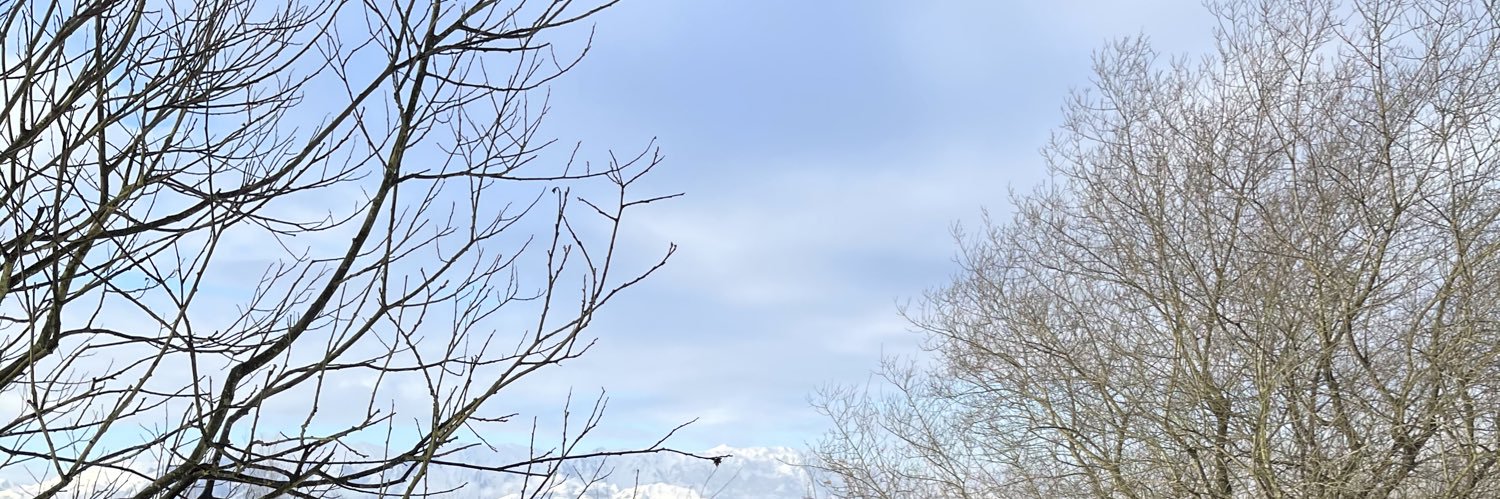noeliarico_'s profile banner image