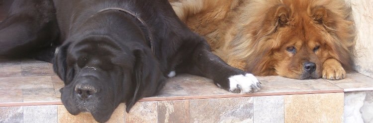 julio_rbs's banner