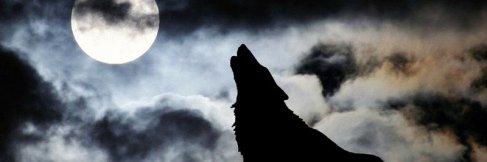 MrCryptoAbel's profile banner image