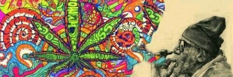 NoeliaNapole1's profile banner image