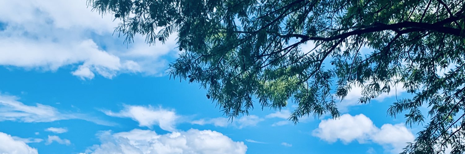 mie_fu's profile banner image
