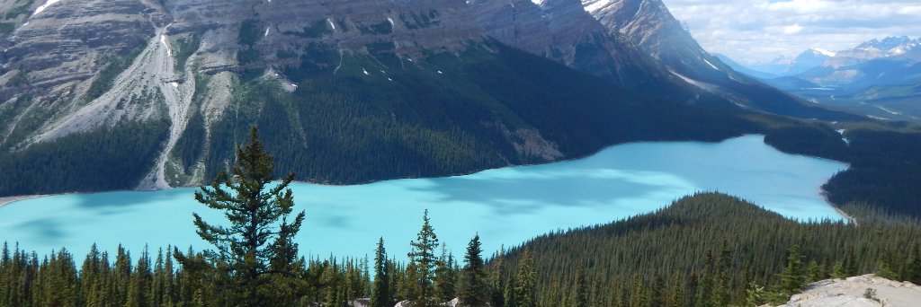 lindskeywrites's profile banner image