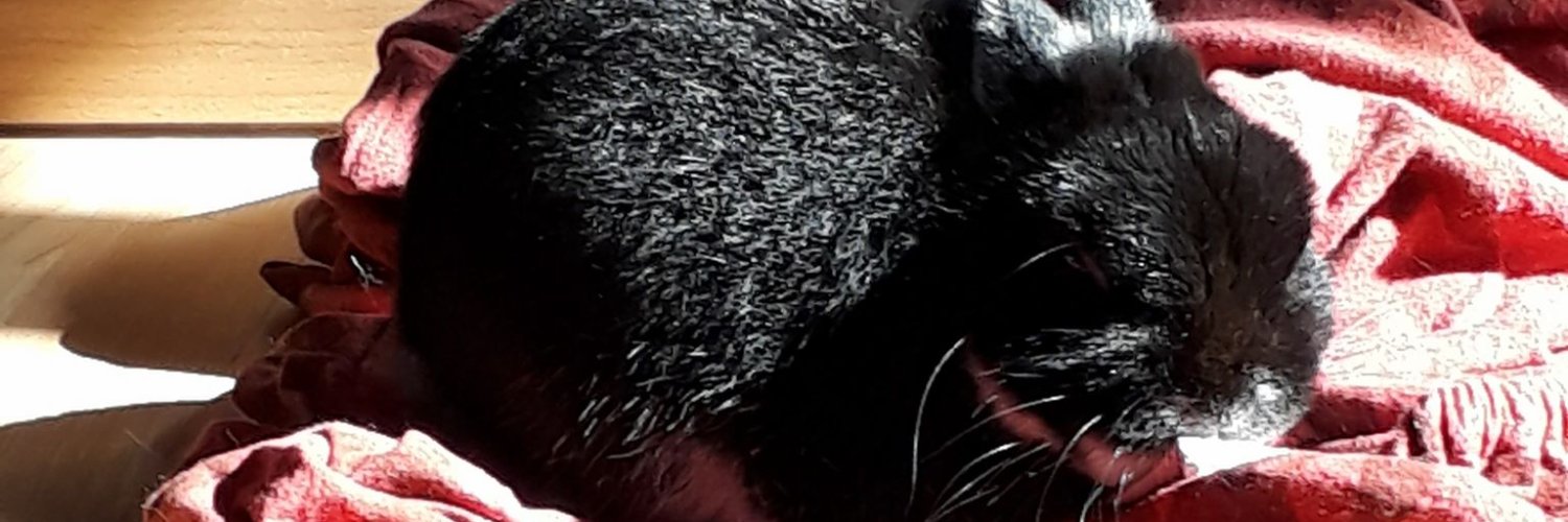 DCT_Loic's profile banner image