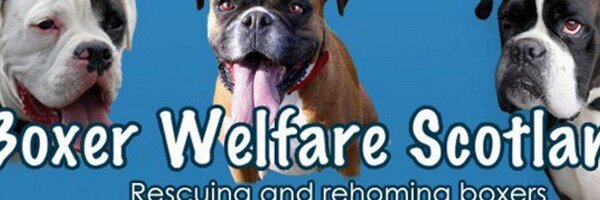 Boxer_BWS Profile Banner