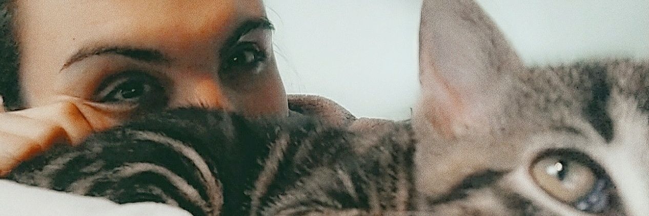 TheFanMimi's profile banner image