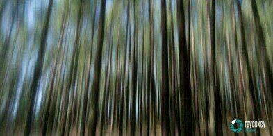 raycokey's profile banner image