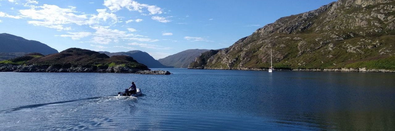 The Green Blue banner