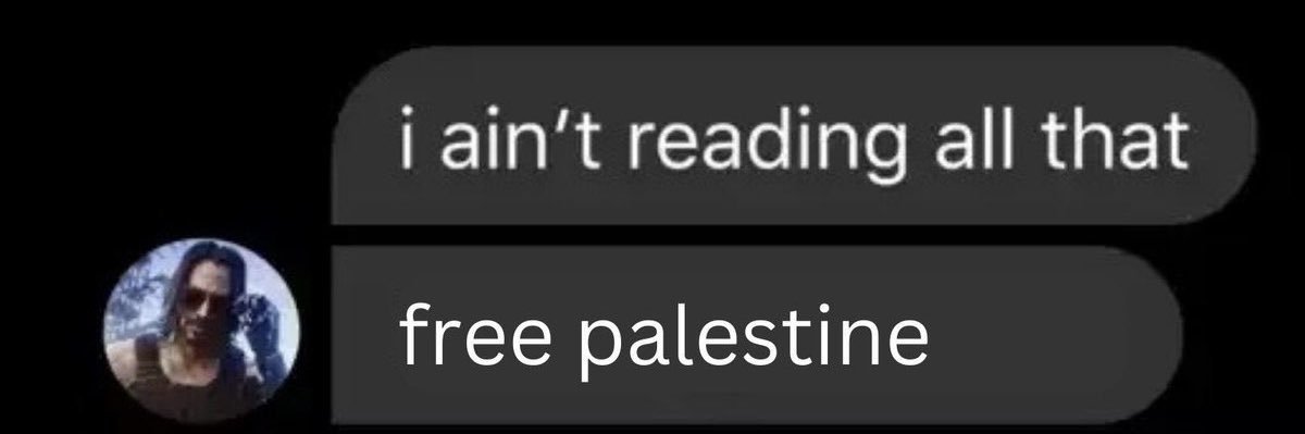 ns 🇵🇸 banner