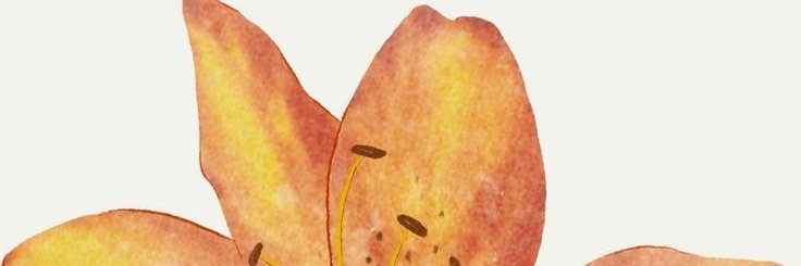 frosnas's profile banner image