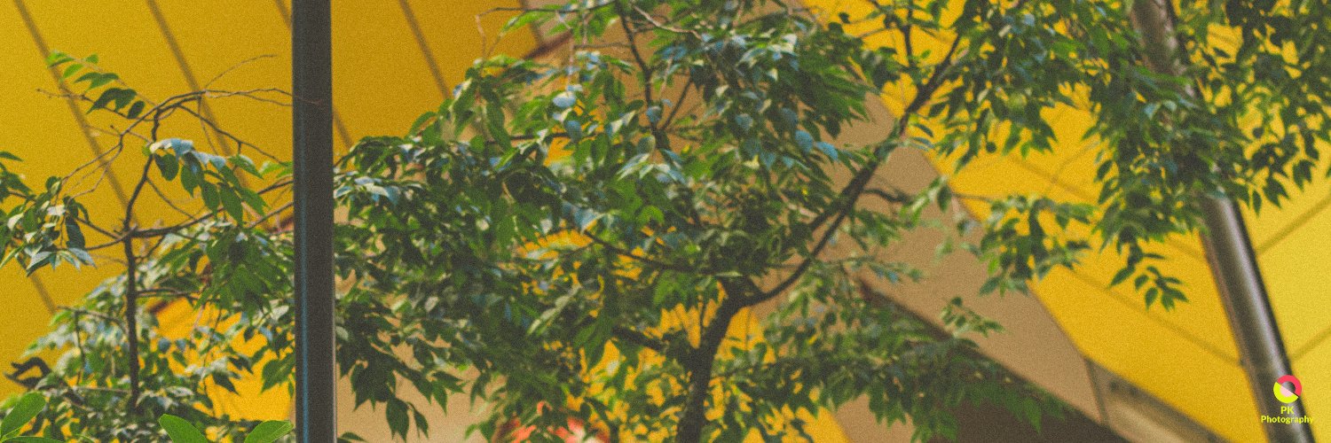 petko_55's profile banner image