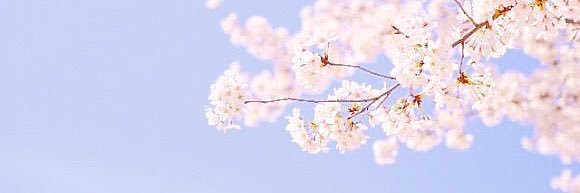 ucmoch1's profile banner image