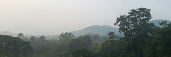 บะบุ้ย banner