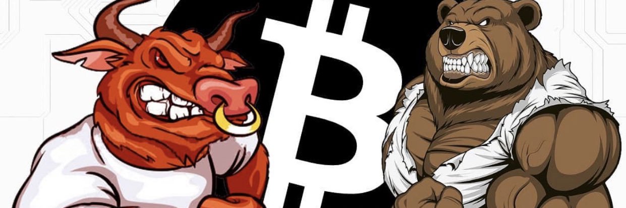 RaulLopezAlcan2's profile banner image