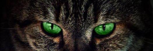 T O D O X V E N E Z U E L A banner