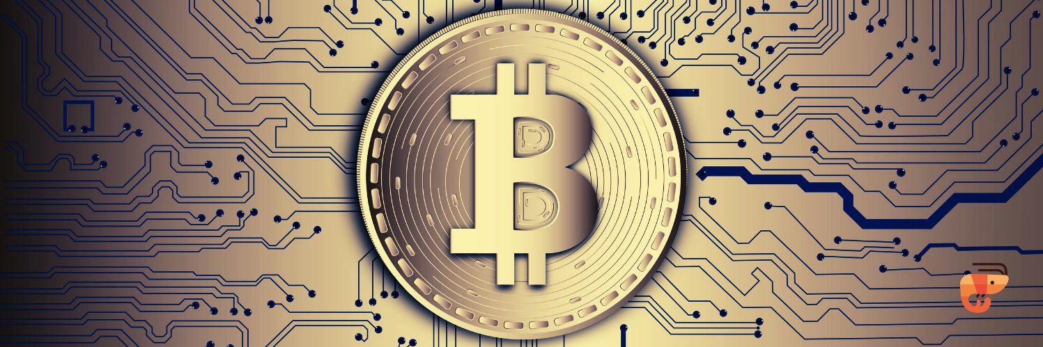 Crypto Shrimp banner