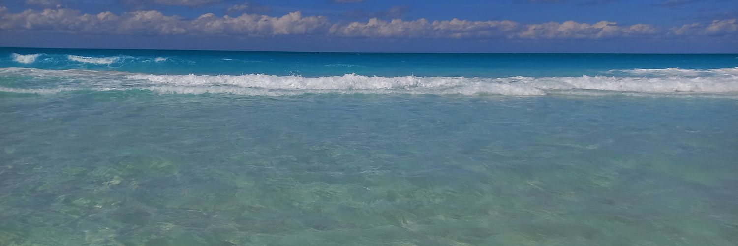 Lou🌞 banner