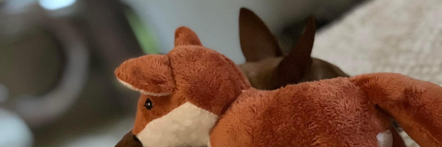 scandy_bobo's profile banner image