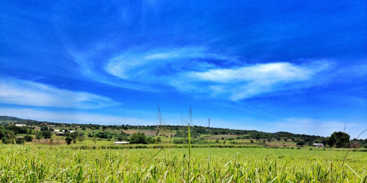 CaribGreen's profile banner image