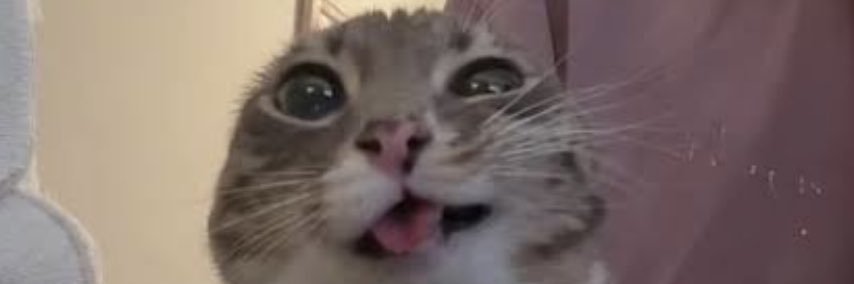 𝔥 banner