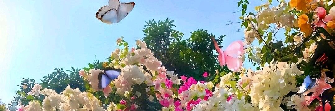valcolebby's profile banner image