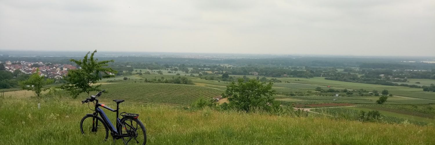 Manuel Steidel banner