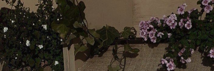 khadiiii__'s profile banner image