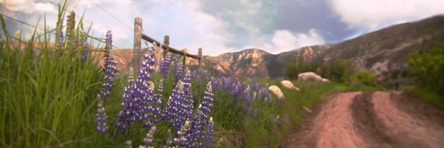 mindyjwilson's profile banner image