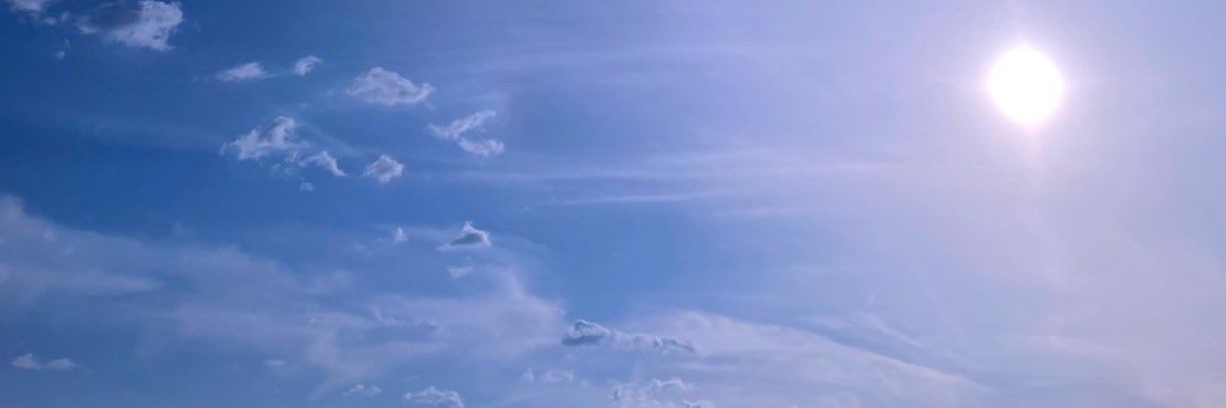 🦊 banner