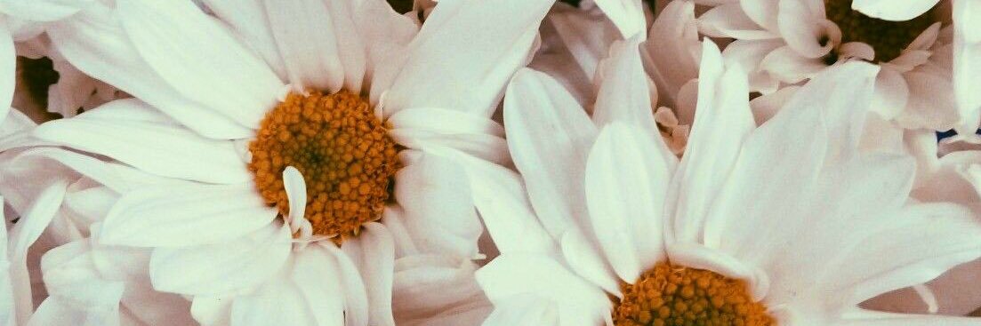 Sandris_GR's profile banner image