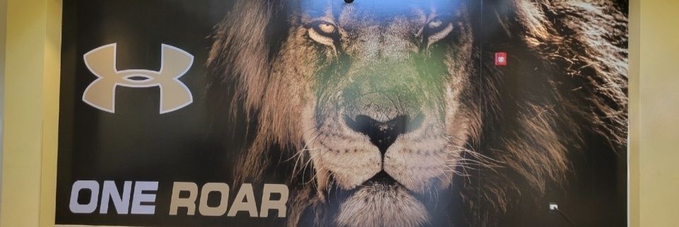 Sarahb1127's profile banner image
