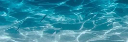 fineassand's profile banner image