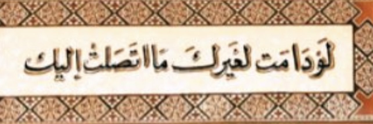 Al3zq8_'s profile banner image