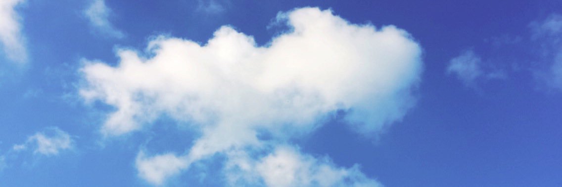 Carol Melo banner