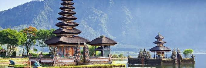 Baby Bali | $BB banner