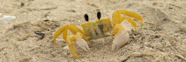 veladconmigo Profile Banner