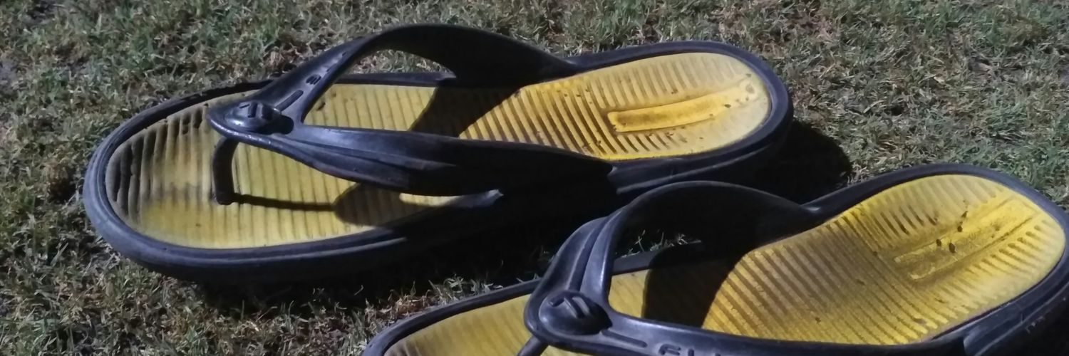 vivek_dodo's profile banner image