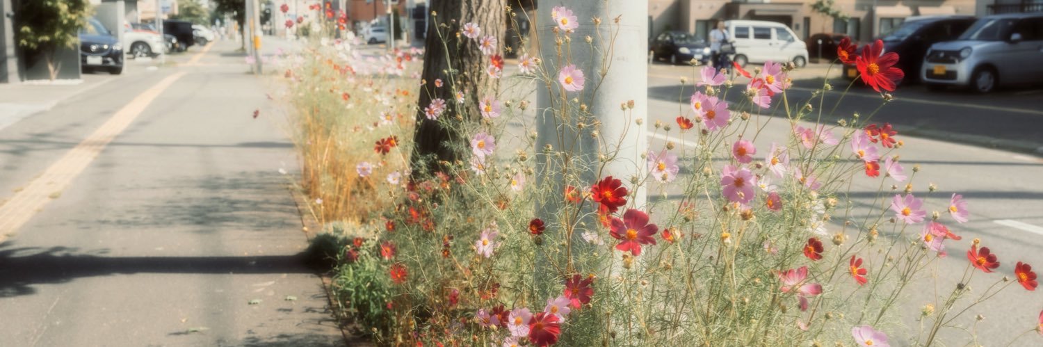 bela saw enha! banner