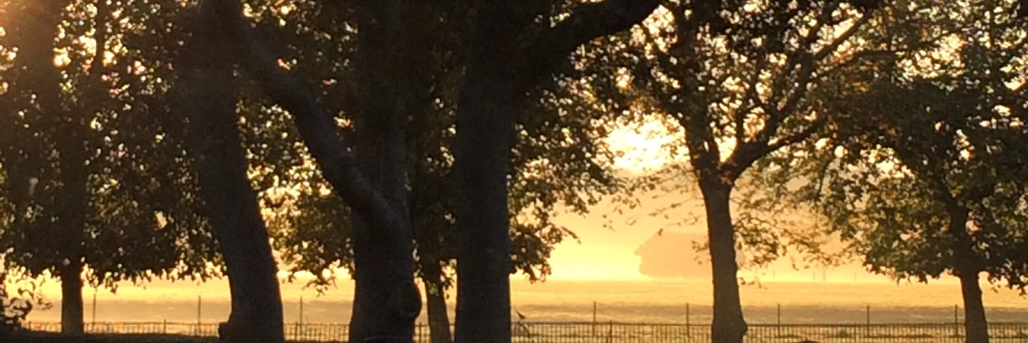 Sheena Macdonald banner