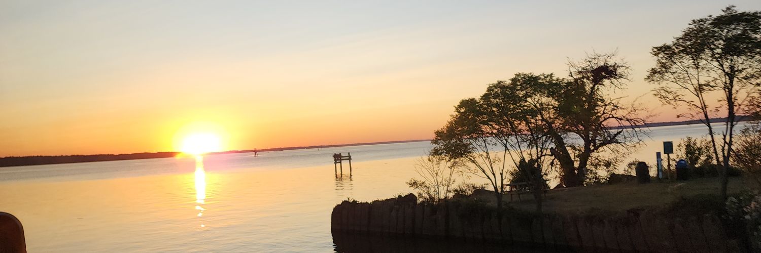 randyholtman's profile banner image