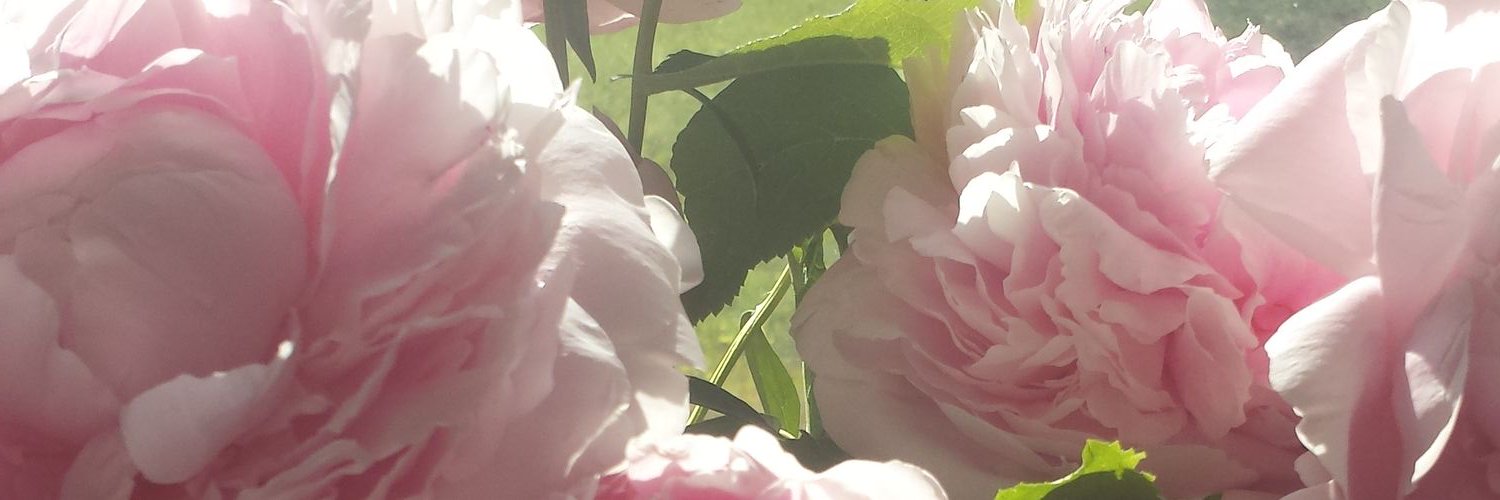 elementsEP's profile banner image