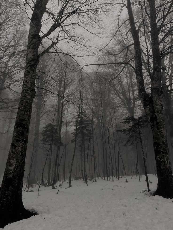 𝕷𝖆𝖉𝖞 𝖔𝖋 𝕱𝖆𝖙𝖊 banner