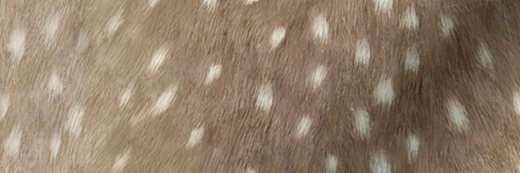 may ୨୧'s banner