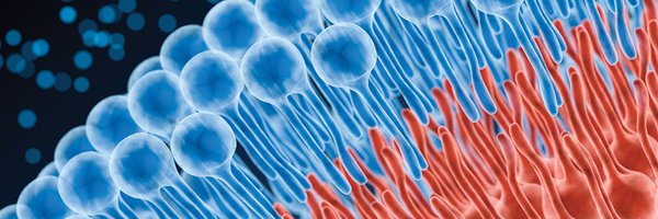 AsbmbLrd Profile Banner