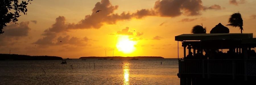 Ryan McDaniel 🇺🇸 banner