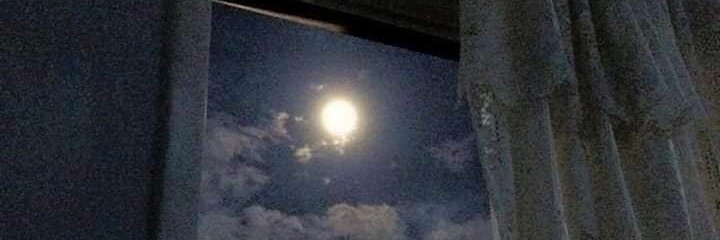 AKD2_MYU's profile banner image
