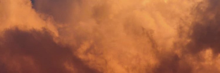 CassSari's profile banner image