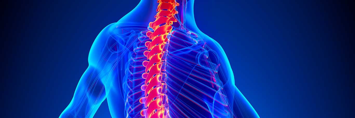 Rocos_Spine_Surgery's banner